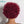 BeQueen Curly Headband Pixie Wig