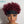 BeQueen Curly Headband Pixie Wig